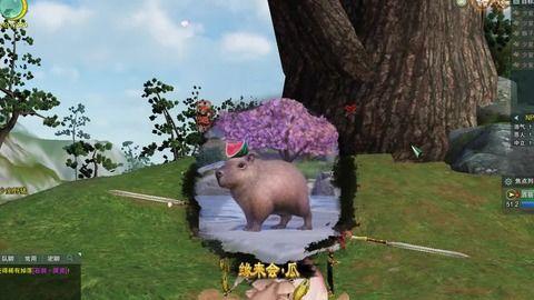 剑网三少林吃瓜奇遇,吃瓜奇遇，揭秘江湖背后的秘密