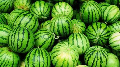 网爆吃瓜热门,揭秘网络热议背后的真相与争议