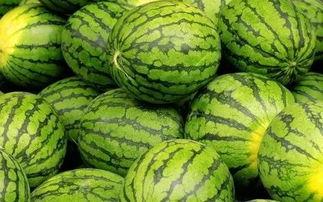 56吃瓜网每日大赛