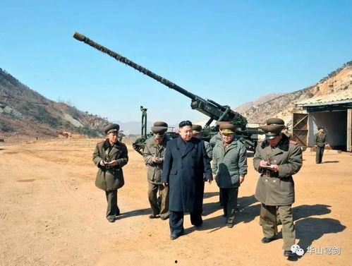 吃瓜爆料王大炮视频,吃瓜爆料背后的真相与争议